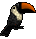 Toucan-black-persimmon.png