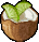 Trinket-Lime in the coconut.png