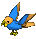 Parrot-peach-blue.png