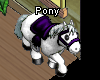 Pets-Plum pony.png