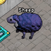 Pets-Shadow sheep.png