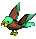 Parrot-mint-brown.png