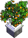 Furniture-Potted orange tree-2.png