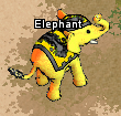 Pets-Banana-skinned elephant.png