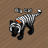 Pets-Exotic tiger.png
