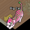 Pets-Watermelon tiger.png