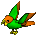 Orange / Lime Parrot