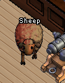 Pets-Brown sheep.png