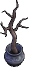 Furniture-Potted plant (dark)-3.png