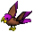 Parrot-violet-brown.png