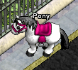 Pets-Booched pony.png