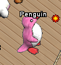 Pets-Passion penguin.png