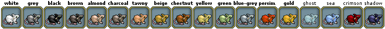 Pets-Rat colors.png