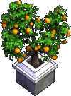 Furniture-Potted orange tree-4.png