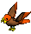 Parrot-persimmon-brown.png