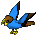 Parrot-brown-blue.png