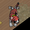 Pets-Blood tiger.png