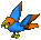 Parrot-orange-blue.png