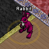 Pets-Wine rabbit.png