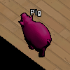 Pets-Wine pig.png