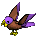 Parrot-lavender-brown.png