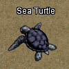 Pets-Black sea turtle.png