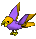 Parrot-gold-lavender.png