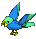 Parrot-mint-blue.png