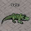 Pets-Gator.png