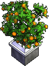 Furniture-Potted orange tree-3.png