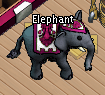 Pets-Wine elephant.png