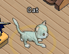 Pets-Ghost cat.png