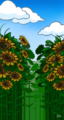 Monthly Jipa Sunflowers.png