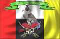 Art-Nordenx-latin revolution flag.jpg