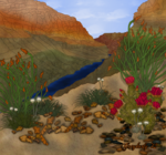 Monthly greylady grandcanyon.png