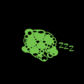 Midnight turtle black.GIF