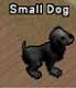 Kleiner schwarzer Hund.jpg