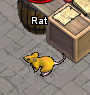 Tiere-Goldene Ratte.png