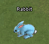 Tiere-Blauer Hase.png