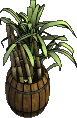 Datei:Möbel-Fass mit Zuckerrohr.png