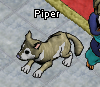 Tiere-Hund.png