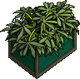 Crate o'hemp (huntsman)