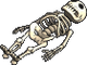 Supine skelly
