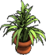 Topfpflanze