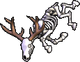 Deer skeleton