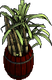 Sugarcane barrel (defiant)