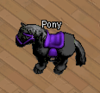 Schwarzes Pony.png