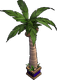 Tree (palm, planter)
