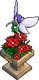 Fairy display
