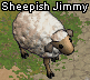 Sheep.png